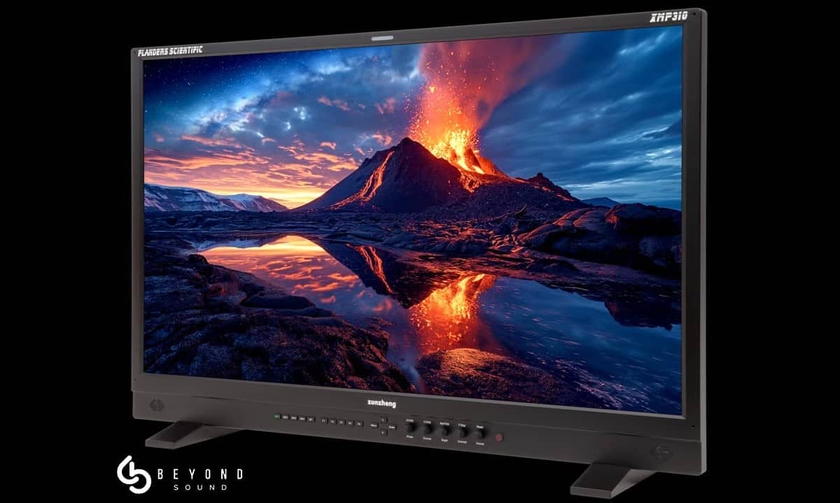 See It As You Imagined It: The Power of the Flanders XMP310